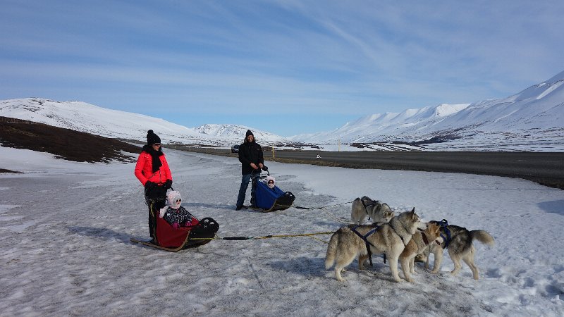 Dog sledding (24).JPG